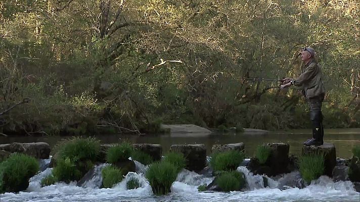 Historias de un río