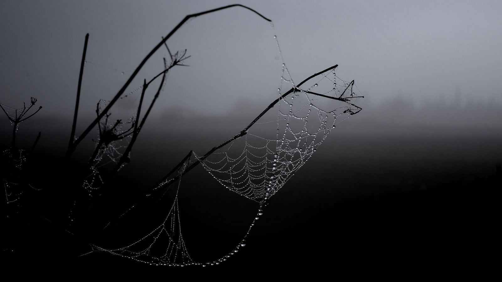 Nubes bajas, brumas y bancos de niebla matinales en general, en el interior peninsular y Mallorca - Ver ahora