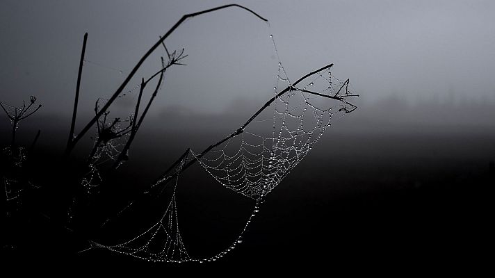 El tiempo - Nubes bajas, brumas y bancos de niebla matinales en general, en el interior peninsular y Mallorca