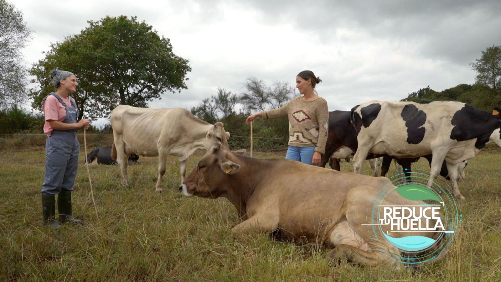 Reduce tu huella - Mulleres galegas - ver ahora
