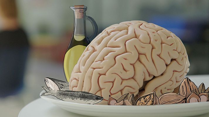Un cerebro bien alimentado