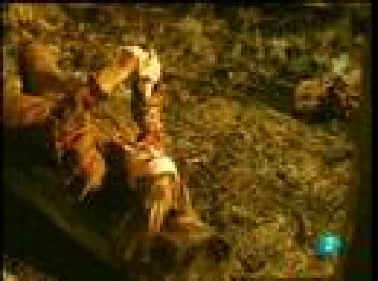 Días de cine - 'Una mamá en apuros'