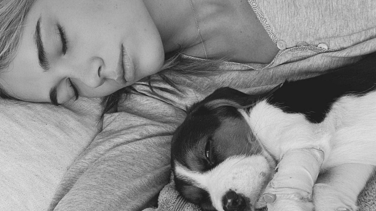 Corazón - Enrique Ponce y Ana Soria, muy preocupados por su perrito Ney