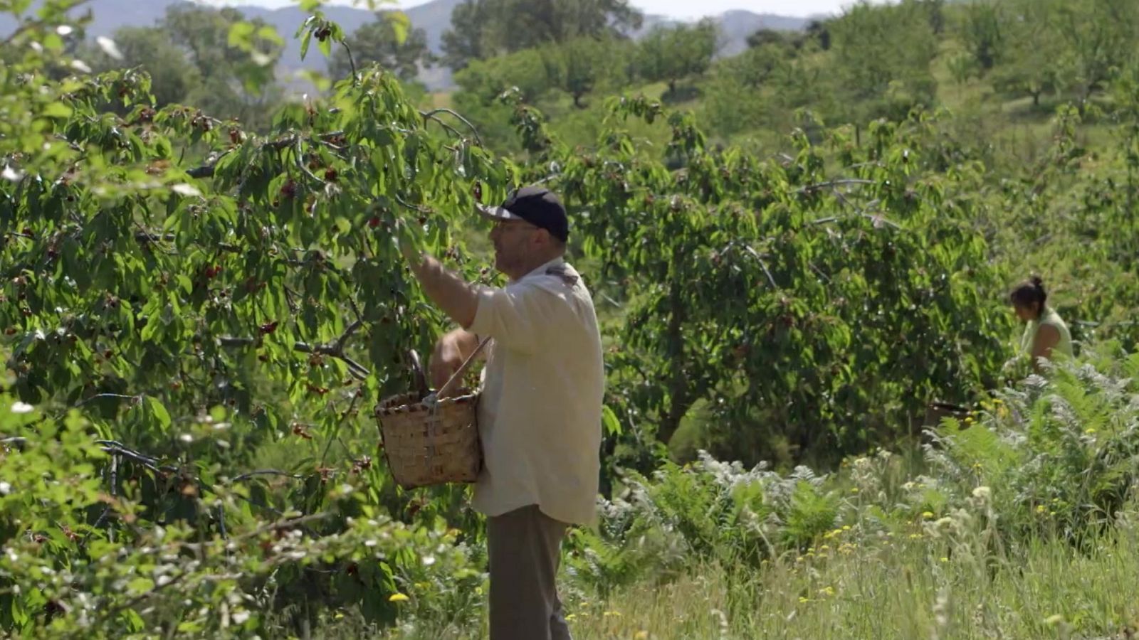 Red Natura 2000 - Programa 8 - ver ahora