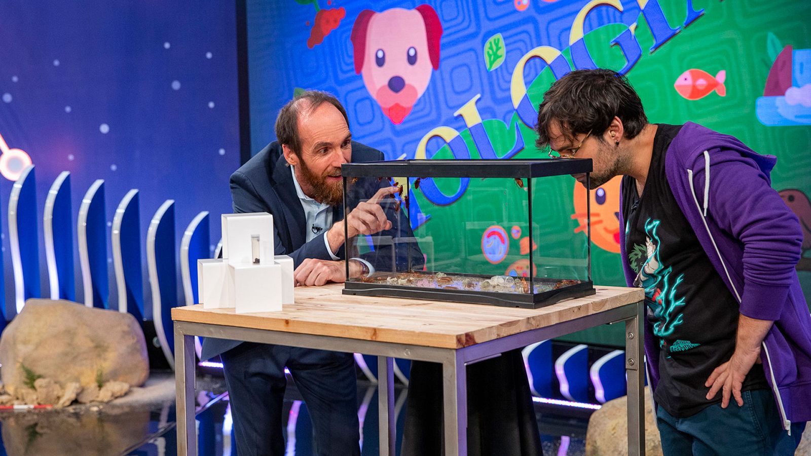 Órbita Laika - T6 - Programa 12: Un mundo bajo nuestros pies - ver ahora