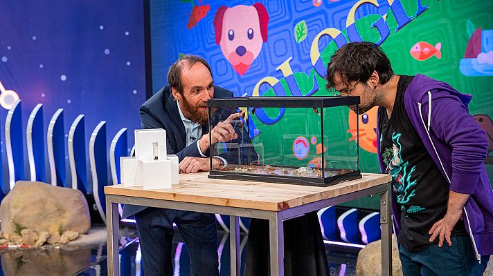 Órbita Laika - Un mundo bajo nuestros pies