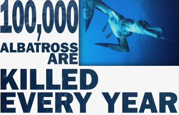 Ciencia y tecnología en Rtve.es - Green Forum. Los océanos amenazados