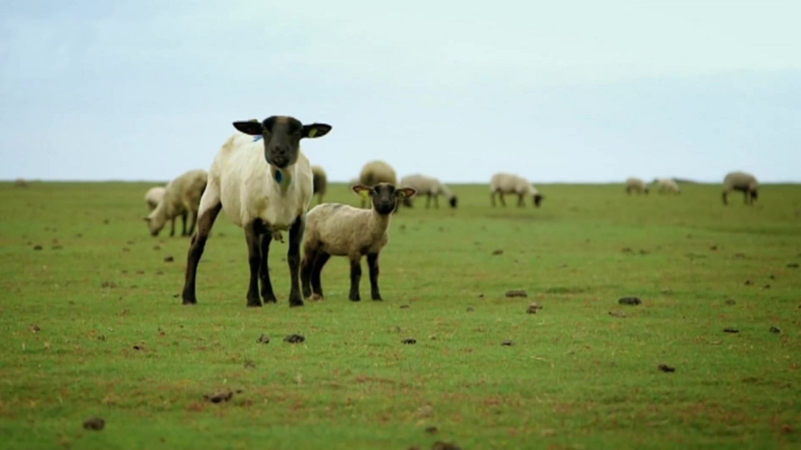 Exploradores del sabor - Episodio 3: Francia - ver ahora