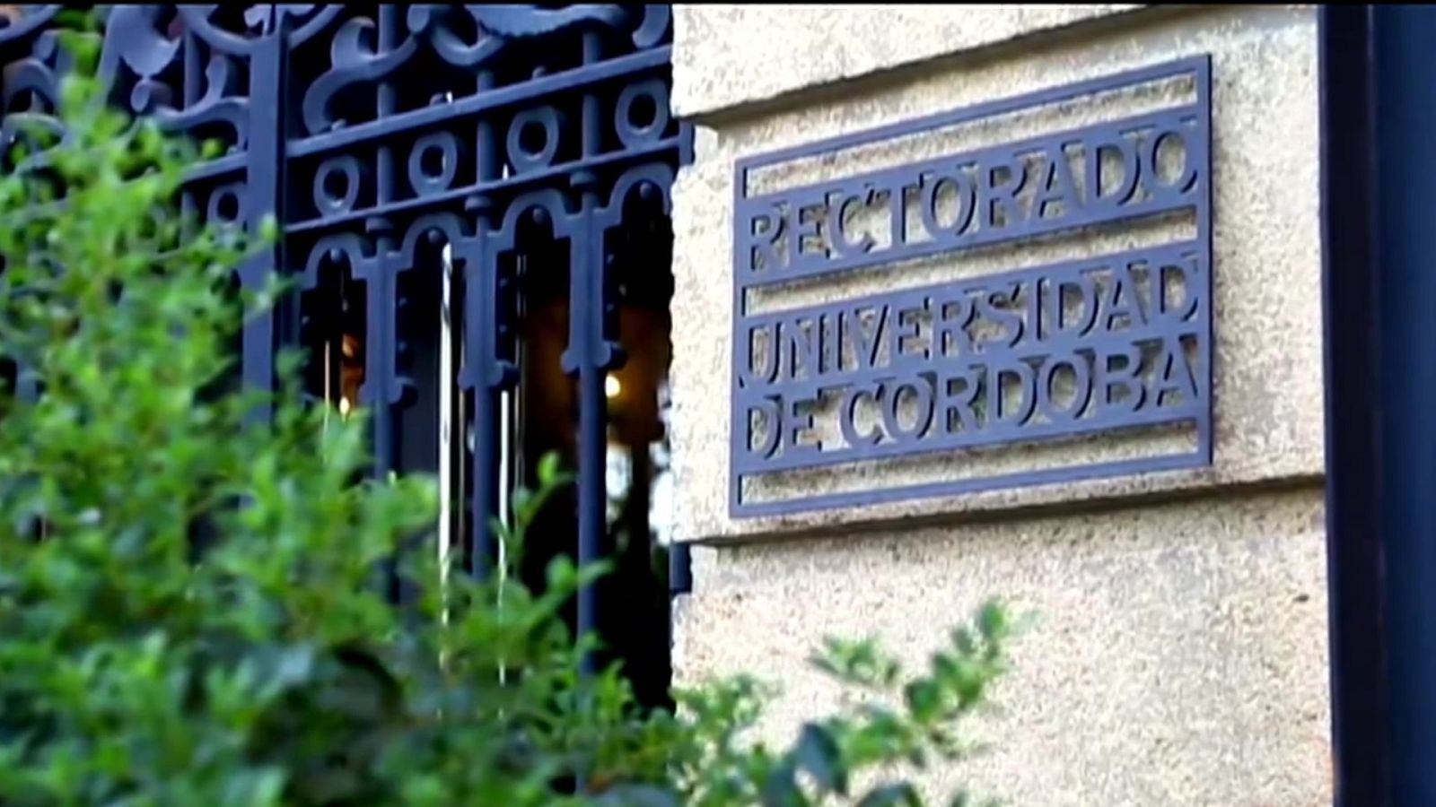 Emprende Express - 22/12/20 - ver ahora