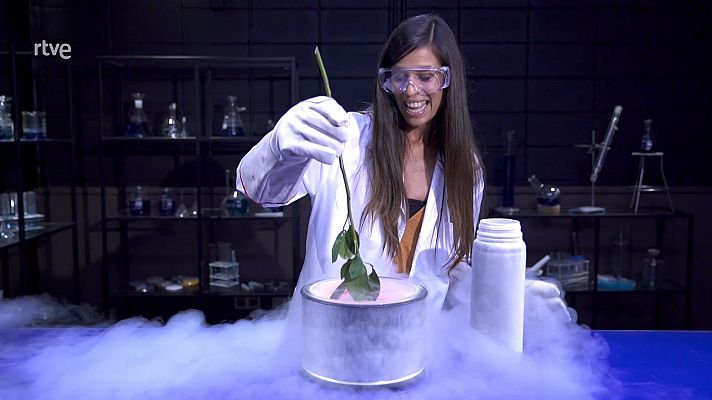 ¿Por qué los tardígrados son tan resistentes al frío? 