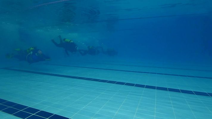 Otros deportes - Buceo de competición - Campeonato de España