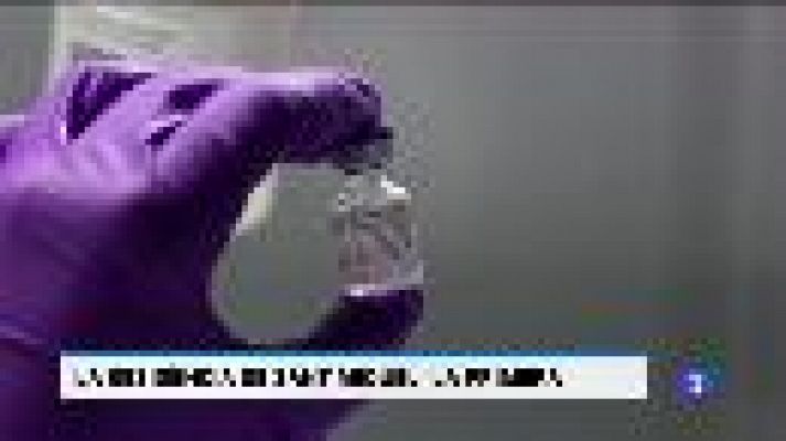 Informatiu Balear - Informatiu Balear - 24/12/20