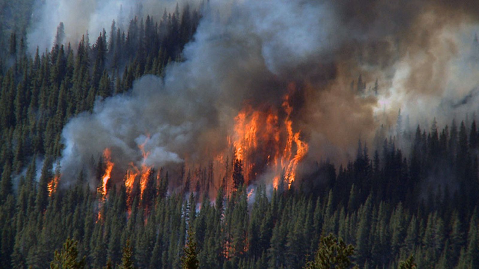 Somos documentales - El poder del fuego. La Tierra está ardiendo - Documental en RTVE