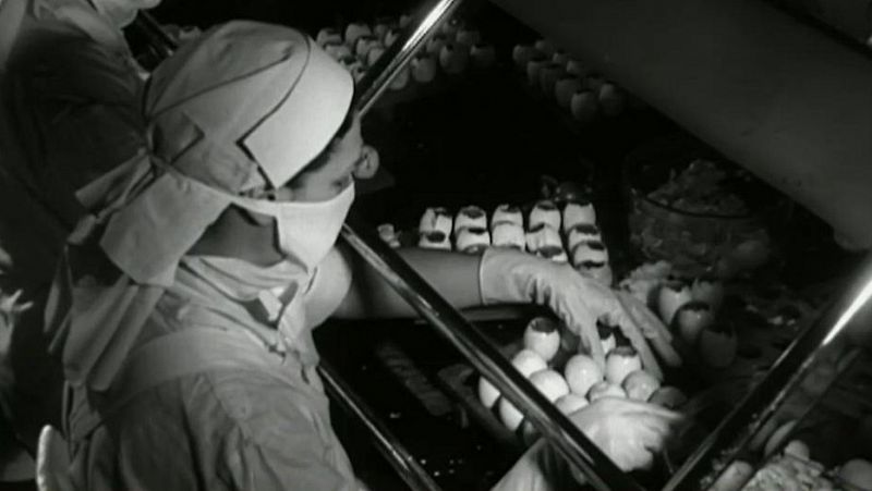 Victorias sanitarias: cronología de la vacunación en España, a través del archivo de RTVE - Especiales informativos | Ver