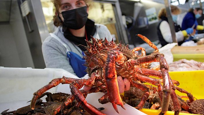 Telediario 1 - Preocupación en el sector pesquero gallego tras el acuerdo comercial post-Brexit