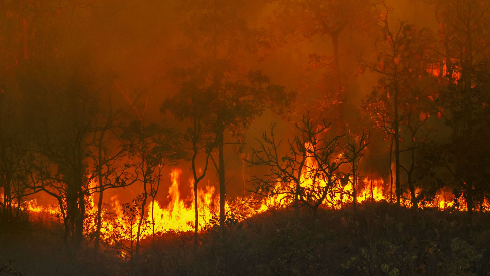 2020: un año de fenómenos meteorológicos extremos