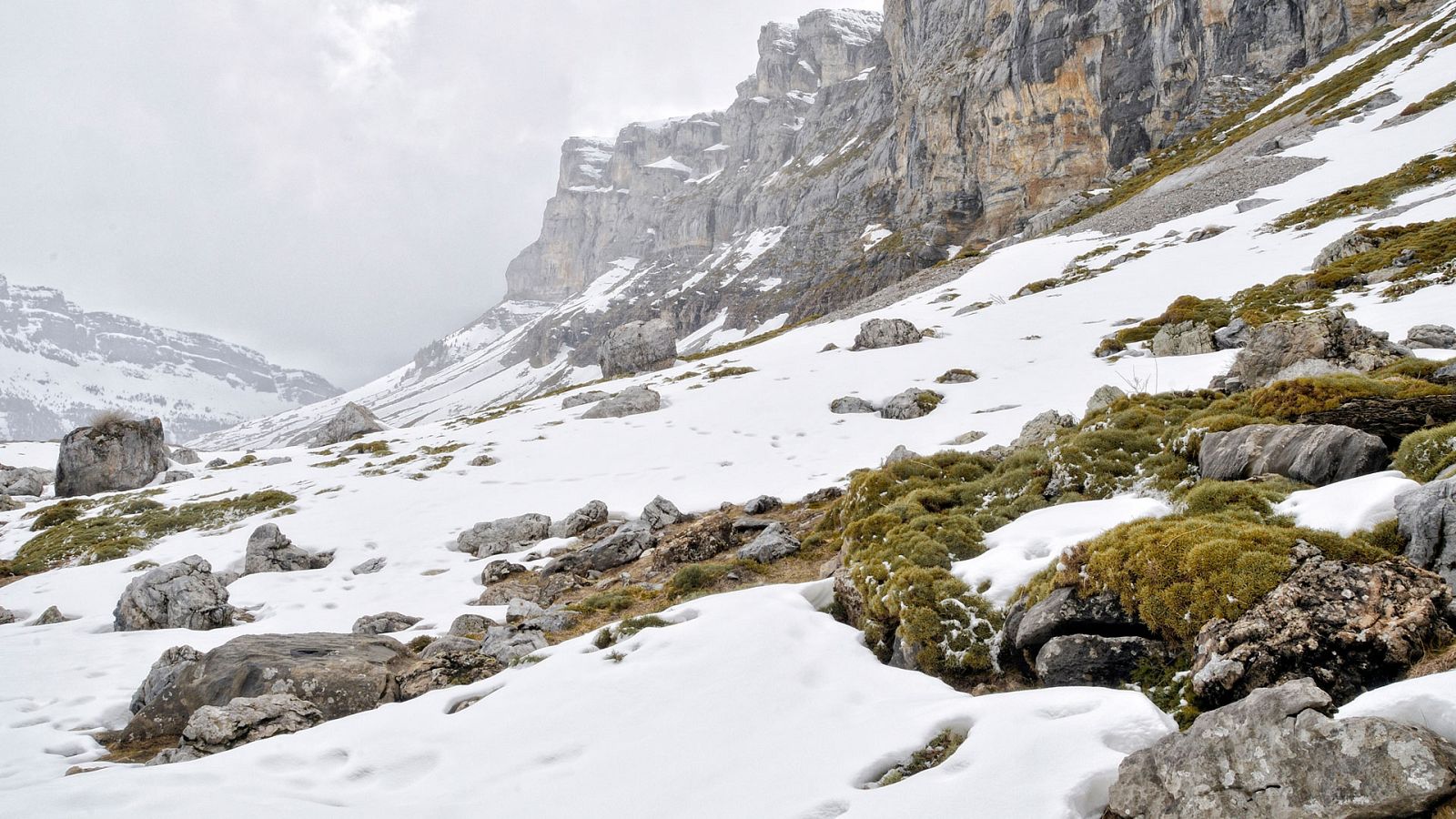 Nevadas por encima de 600/1000 m en zonas de la mitad norte peninsular - ver ahora