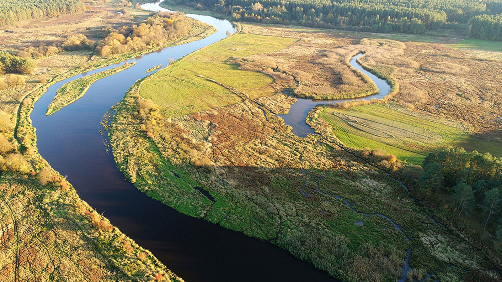 Somos documentales - Biebzra - El Amazonas europeo - ver ahora