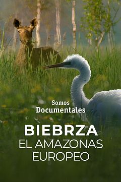 Somos documentales - Biebzra - El Amazonas europeo