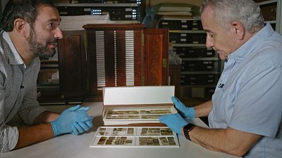 El cazador de cerebros - Las gafas de la ciencia - ver ahora