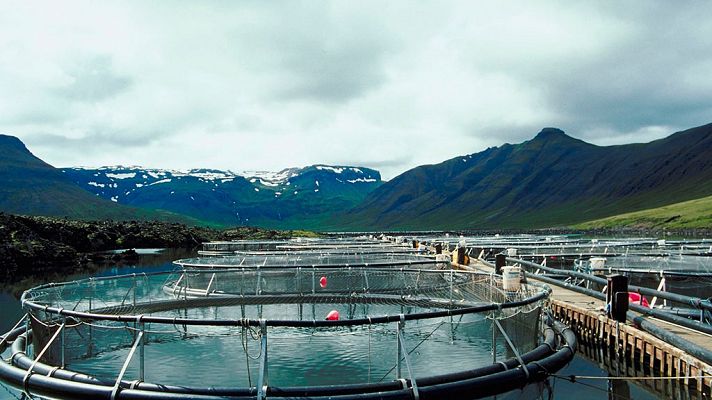 Exploradores del sabor - Islandia