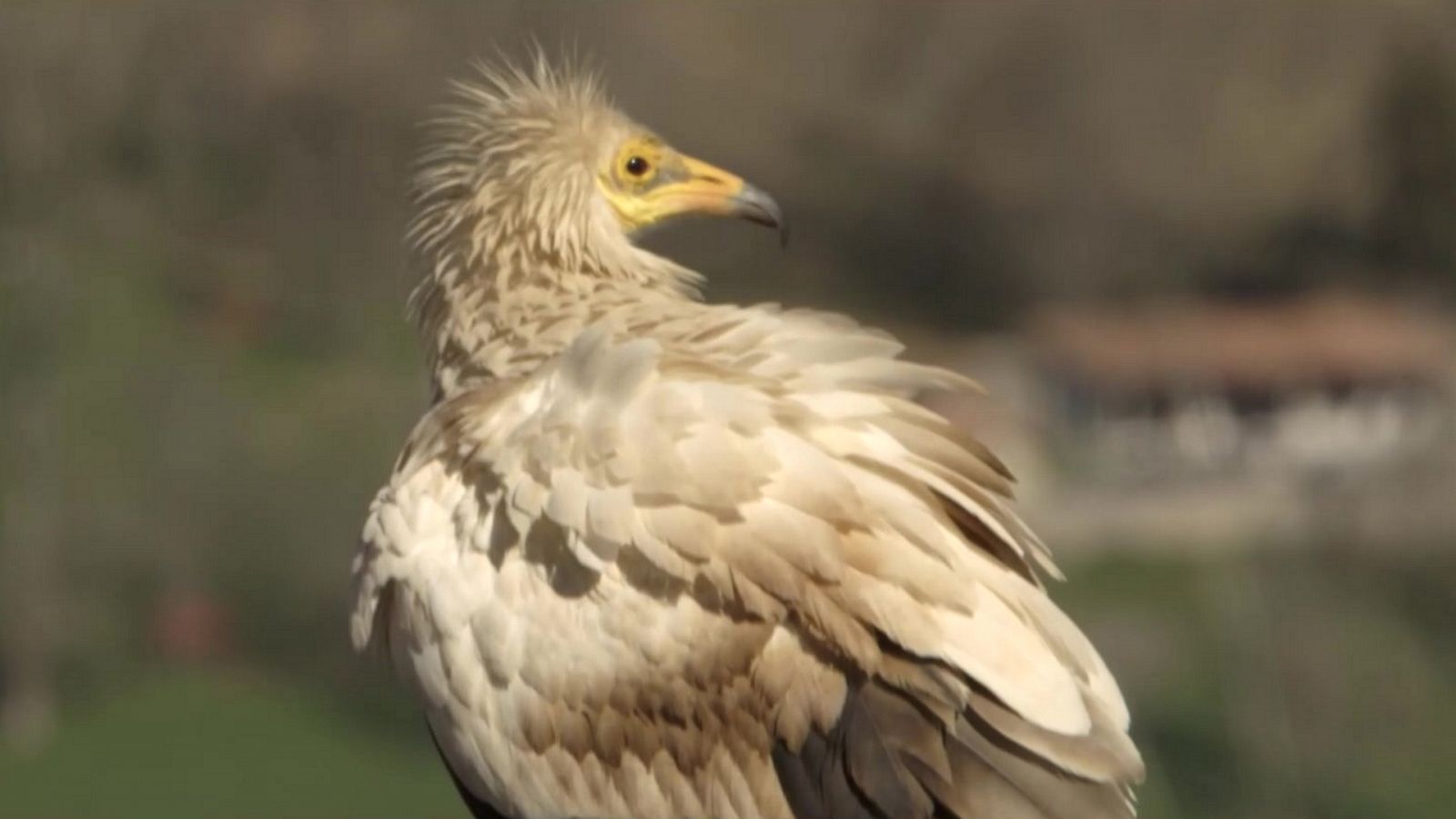 Red Natura 2000 - Programa 10 - RTVE.es