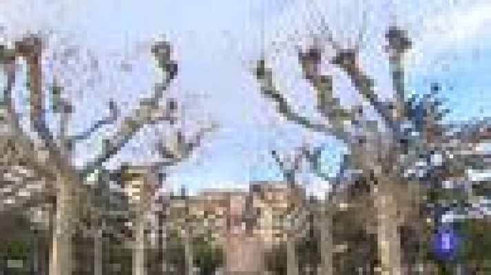 Informativo Telerioja - El tiempo en La Rioja - 29/12/20