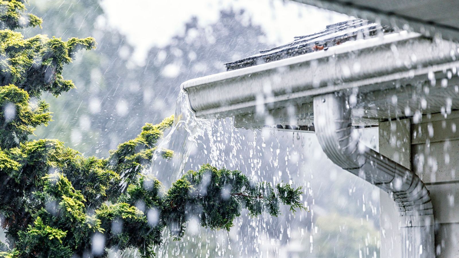 Precipitaciones localmente persistentes en el litoral cantábrico - ver ahora