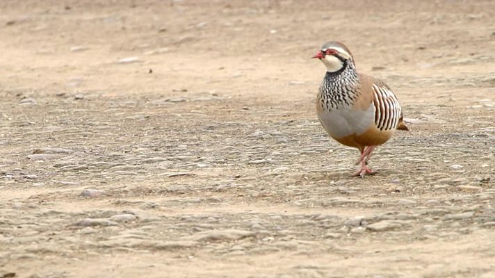 Red Natura 2000 - Programa 12