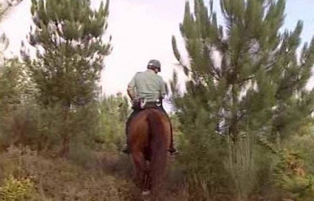  - Sigue la búsqueda de Laura