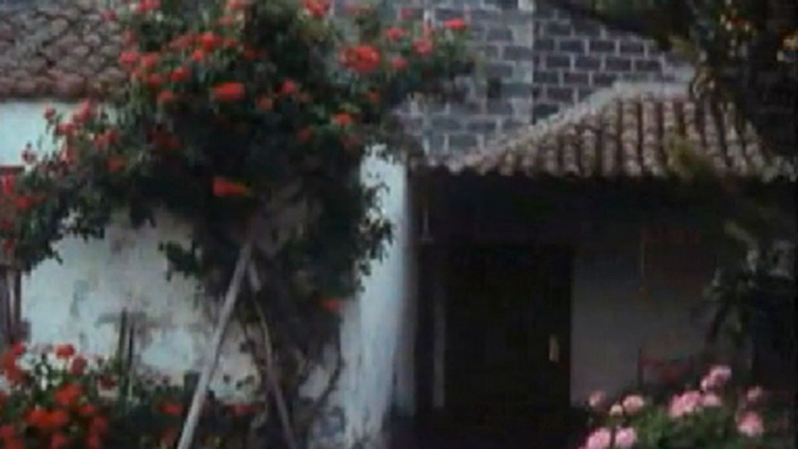 Los trabajos y los días - Los llanos de Aridane y la caldera de Taburiente