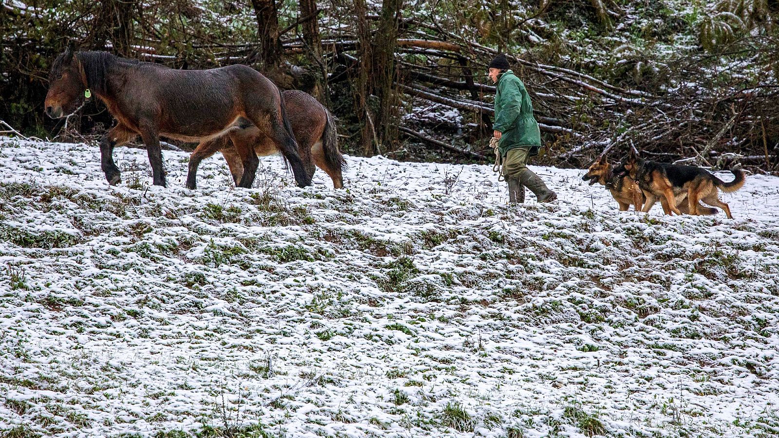 Nevadas y temperaturas más bajas de lo normal para esta época del año