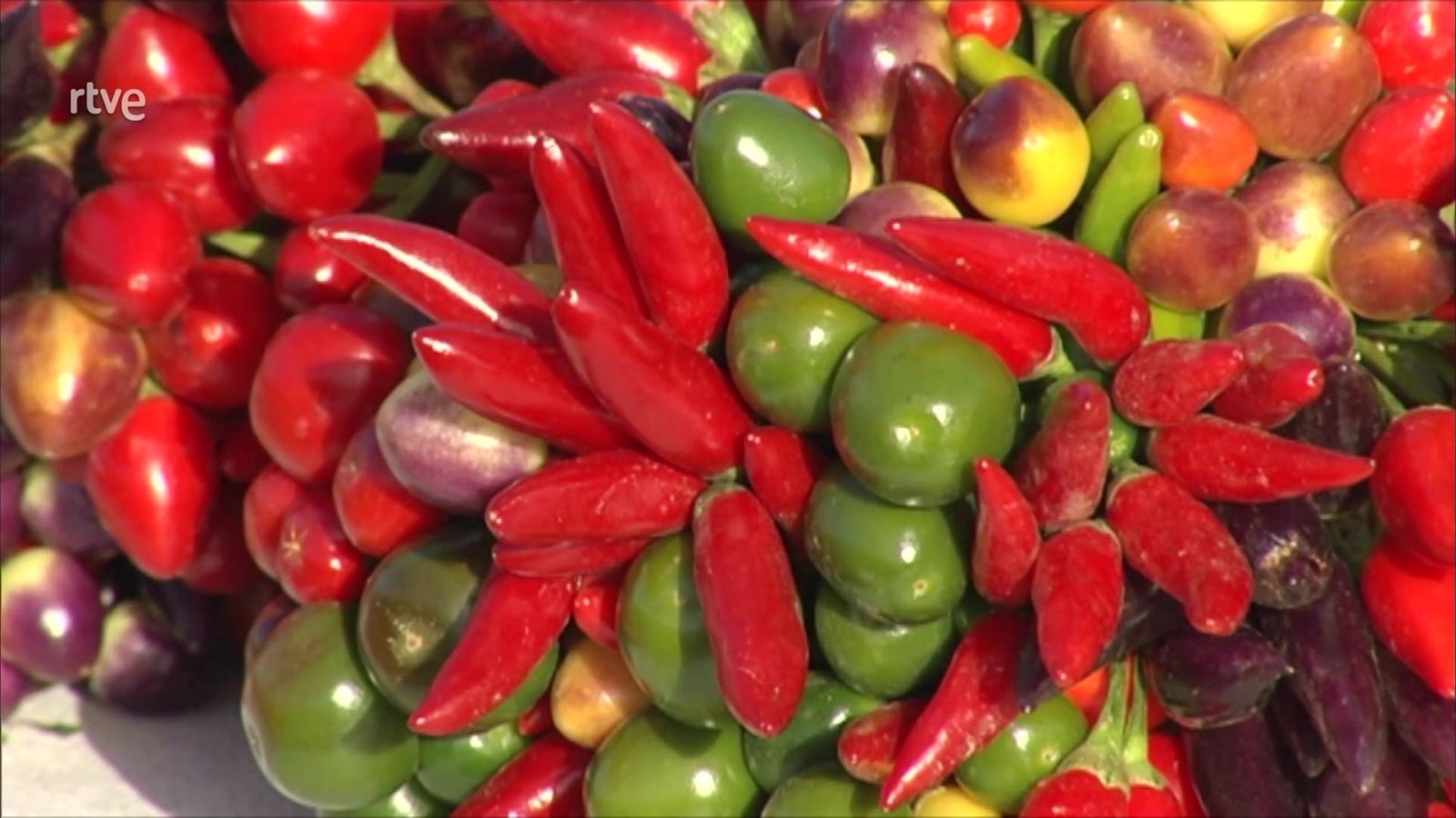 Agrosfera - 02/01/21 - ver ahora