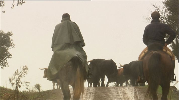 Tendido cero - Tendido cero - 02/01/21