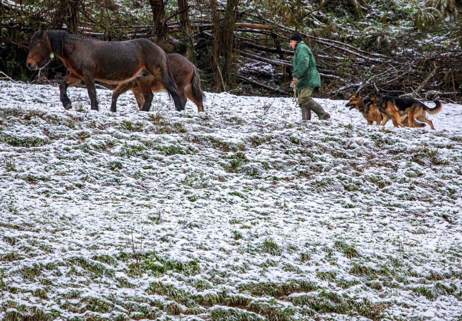 La llegada de una nueva borrasca trae más frío y nieve - El tiempo | Ver