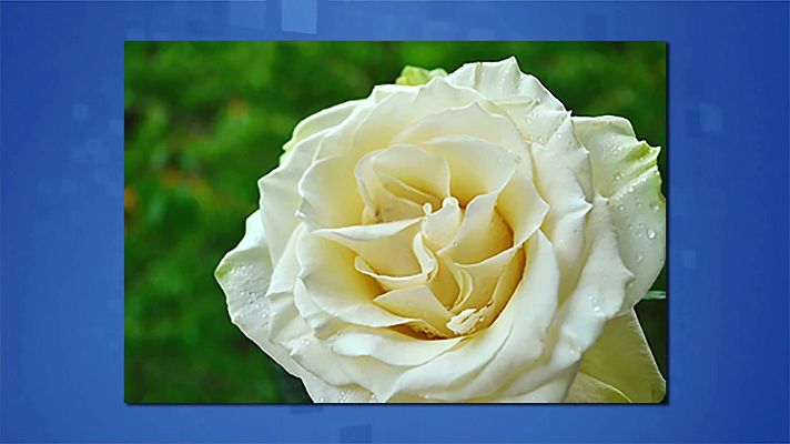 Saber y ganar - Saber y ganar - 05/01/21