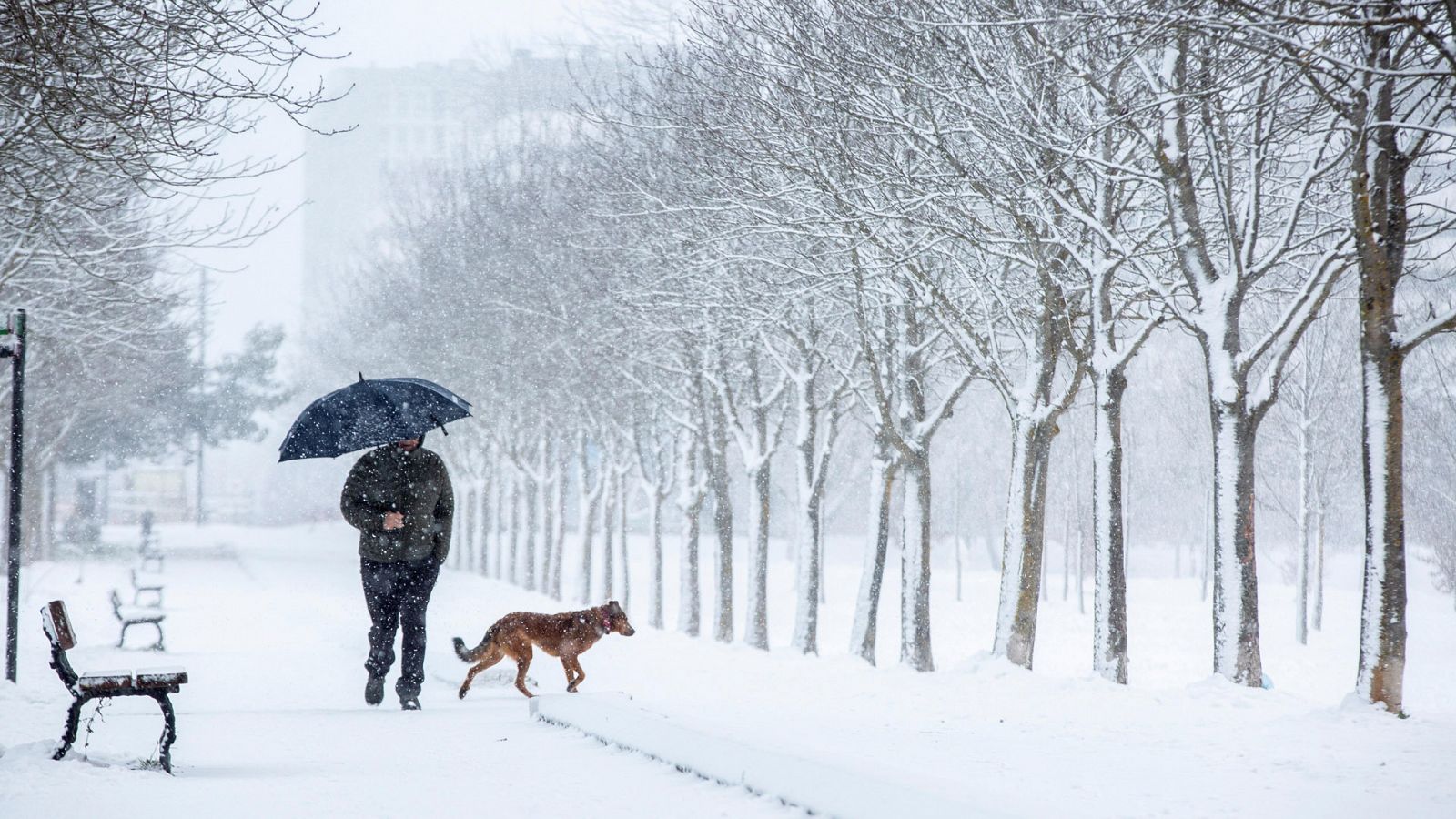 Toda España en alerta por frío y nieve en el primer gran temporal