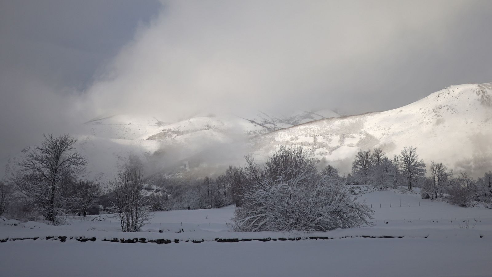 España Directo - 07/01/21 - ver ahora