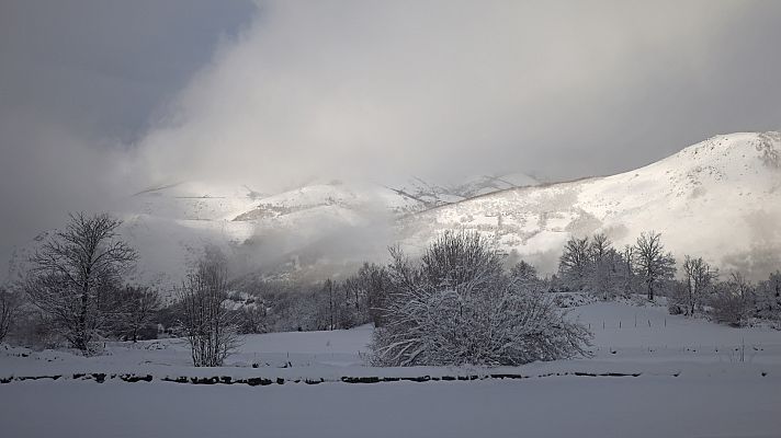 España Directo - España Directo - 07/01/21
