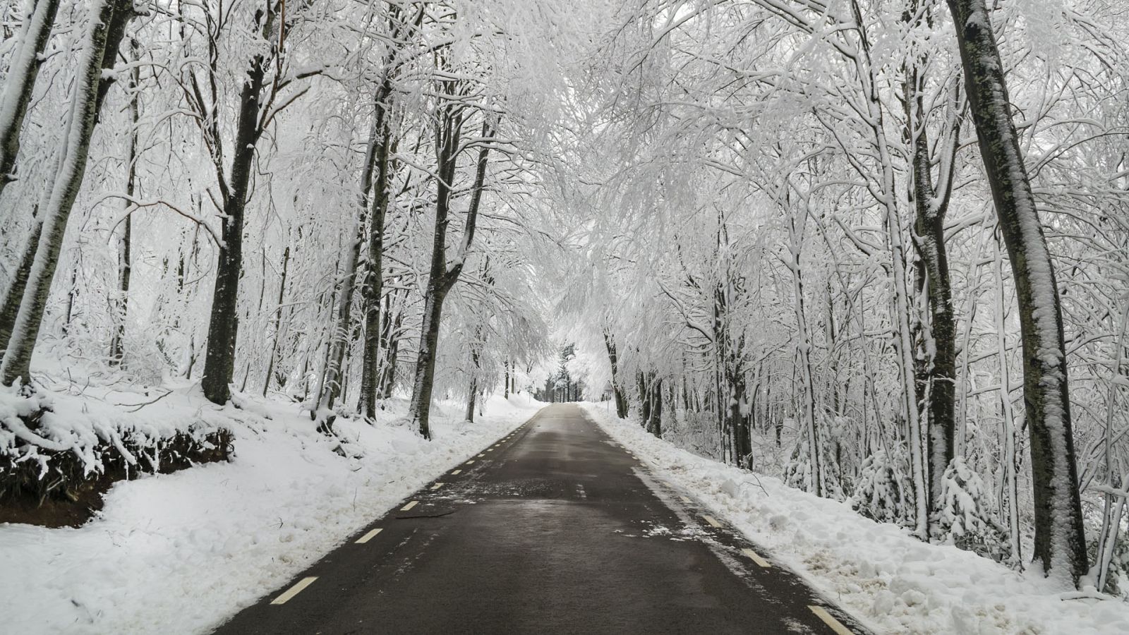 Cotas de nieve bastante bajas - Ver ahora