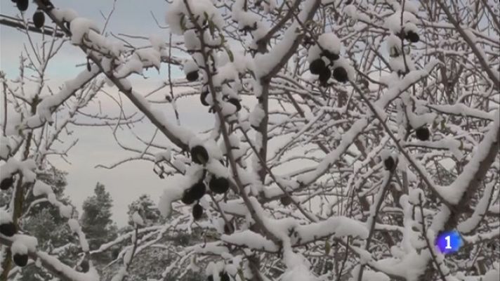 Dissabte al matí nevarà a tot l'interior i a la costa la cota de neu voltarà els 100-200 metres