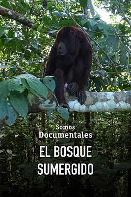 El bosque sumergido