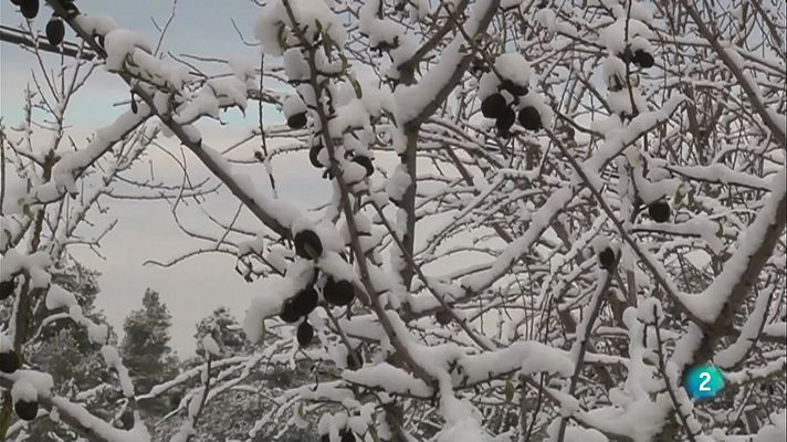 L'Informatiu - El Vespre - 08/01/2021