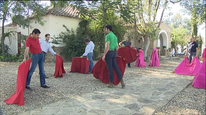 Tendido cero - Tendido cero - 09/01/21