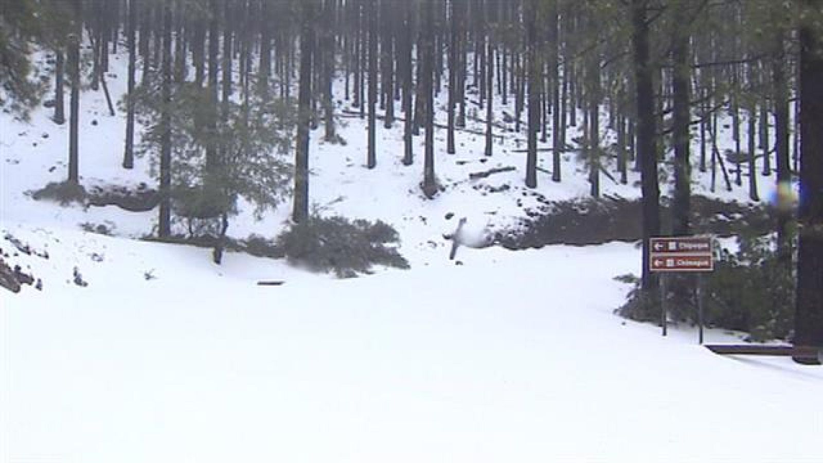 Canarias en 2' - 09/01/2021