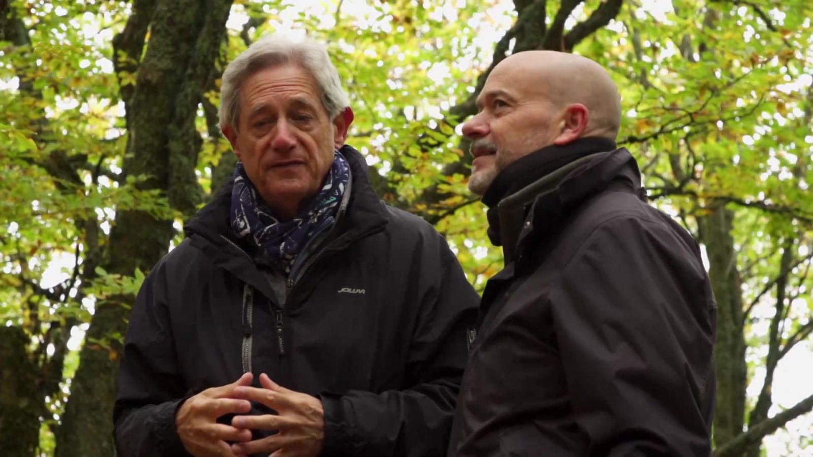 El señor de los bosques - El Hayedo de la Pedrosa - ver ahora