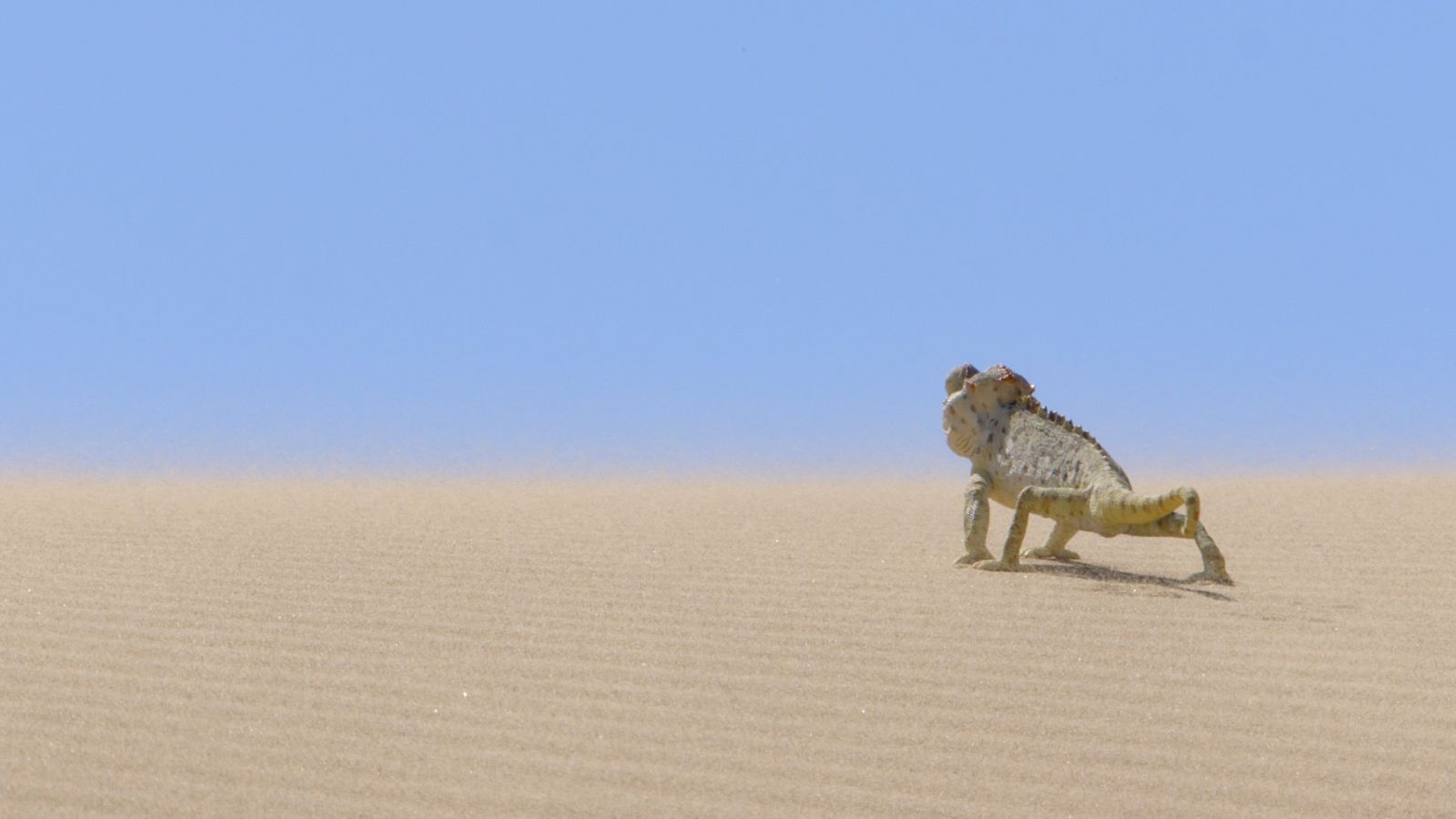 Grandes documentales - El valle indómito: El gran meandro  - ver ahora