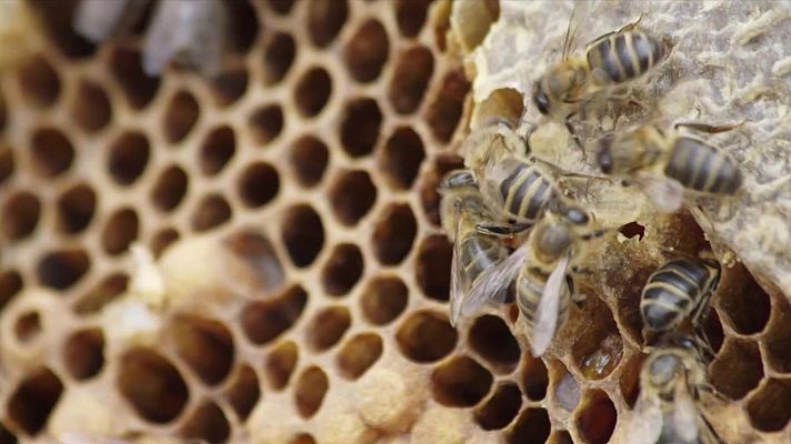 Red Natura 2000 - Programa 14