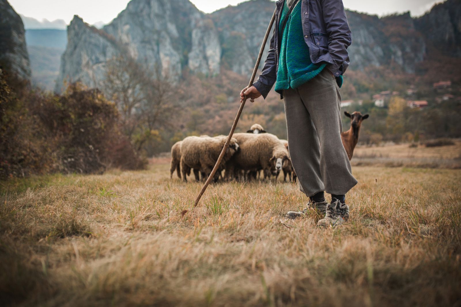 Los pastores de Teruel se reconocen por su madera