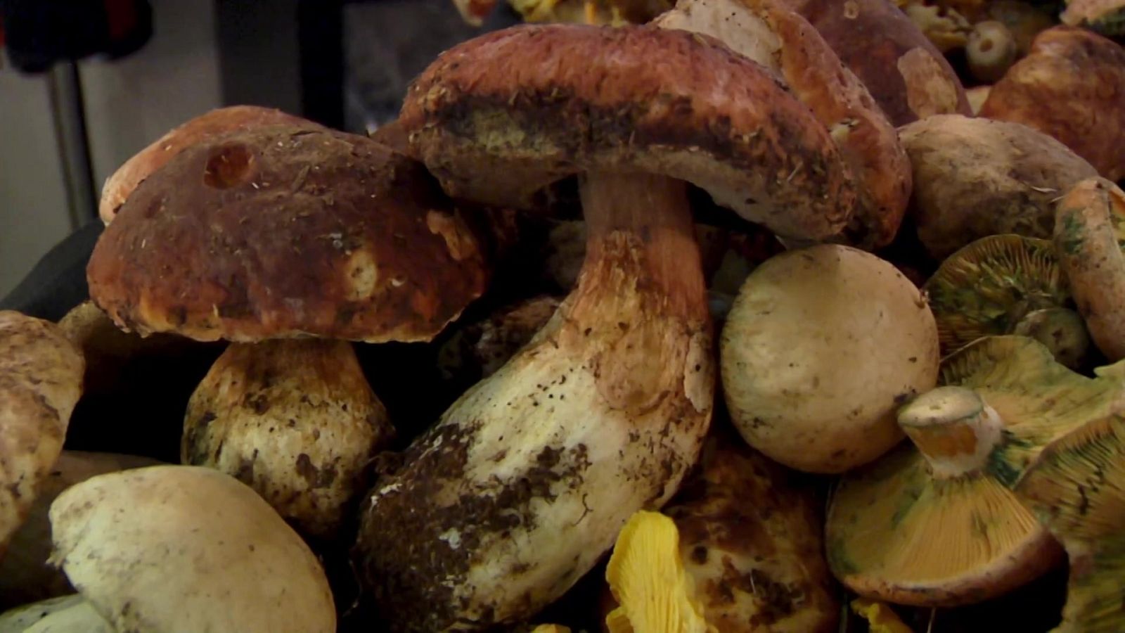 Aquí la Tierra - 13/01/21 - ver ahora